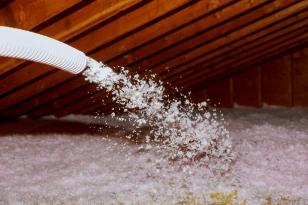 Best Specialized Insulation Services in Mcadenville, NC