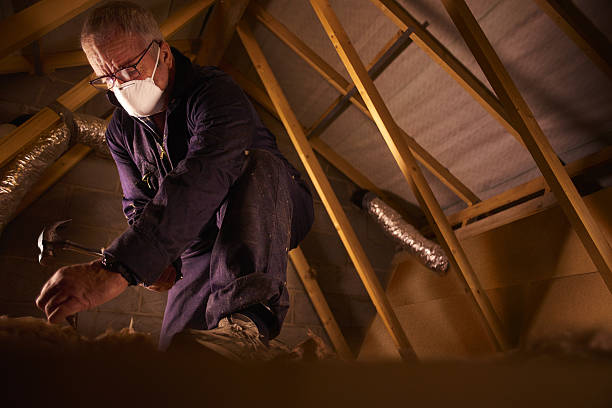 Best DIY Insulation Kits and Guidance in Mcadenville, NC