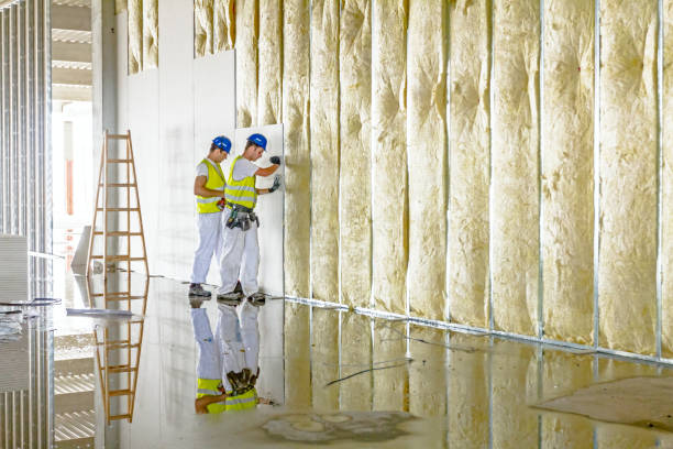 Best Eco-Friendly Insulation in Mcadenville, NC